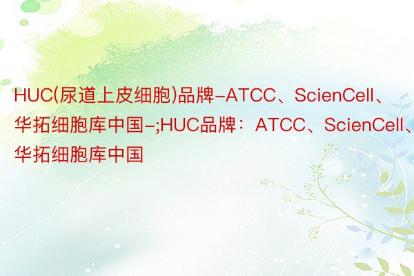 HUC(尿道上皮细胞)品牌-ATCC、ScienCell、华拓细胞库中国-;HUC品牌：ATCC、ScienCell、华拓细胞库中国
